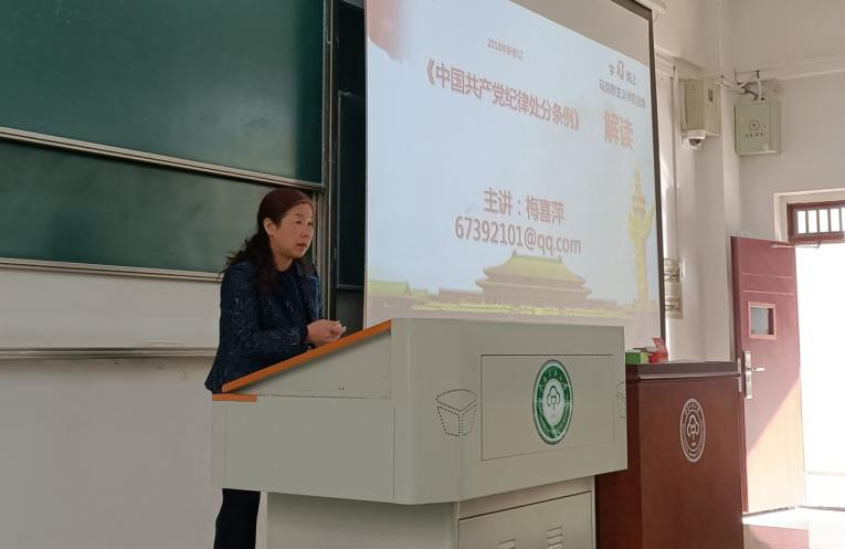 国产精品va在线观看不