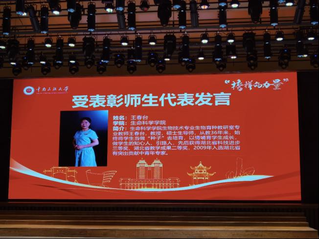 国产精品va在线观看不