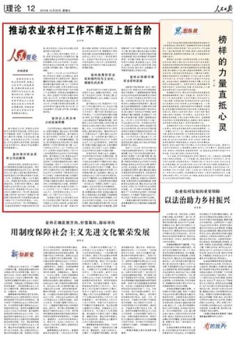 国产精品va在线观看不