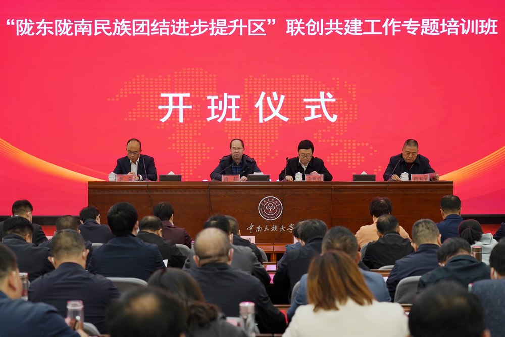 国产精品va在线观看不