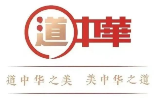 国产精品va在线观看不