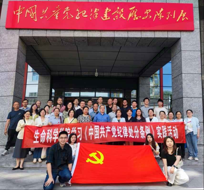 国产精品va在线观看不