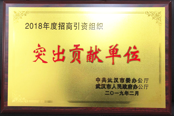 国产精品va在线观看不