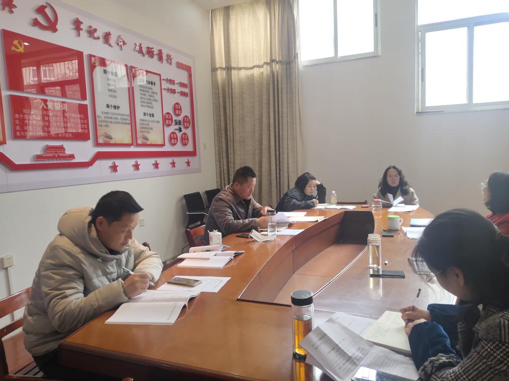 国产精品va在线观看不