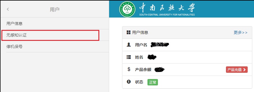 国产精品va在线观看不