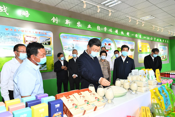 国产精品va在线观看不
