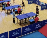 国产精品va在线观看不