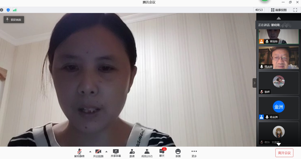 国产精品va在线观看不