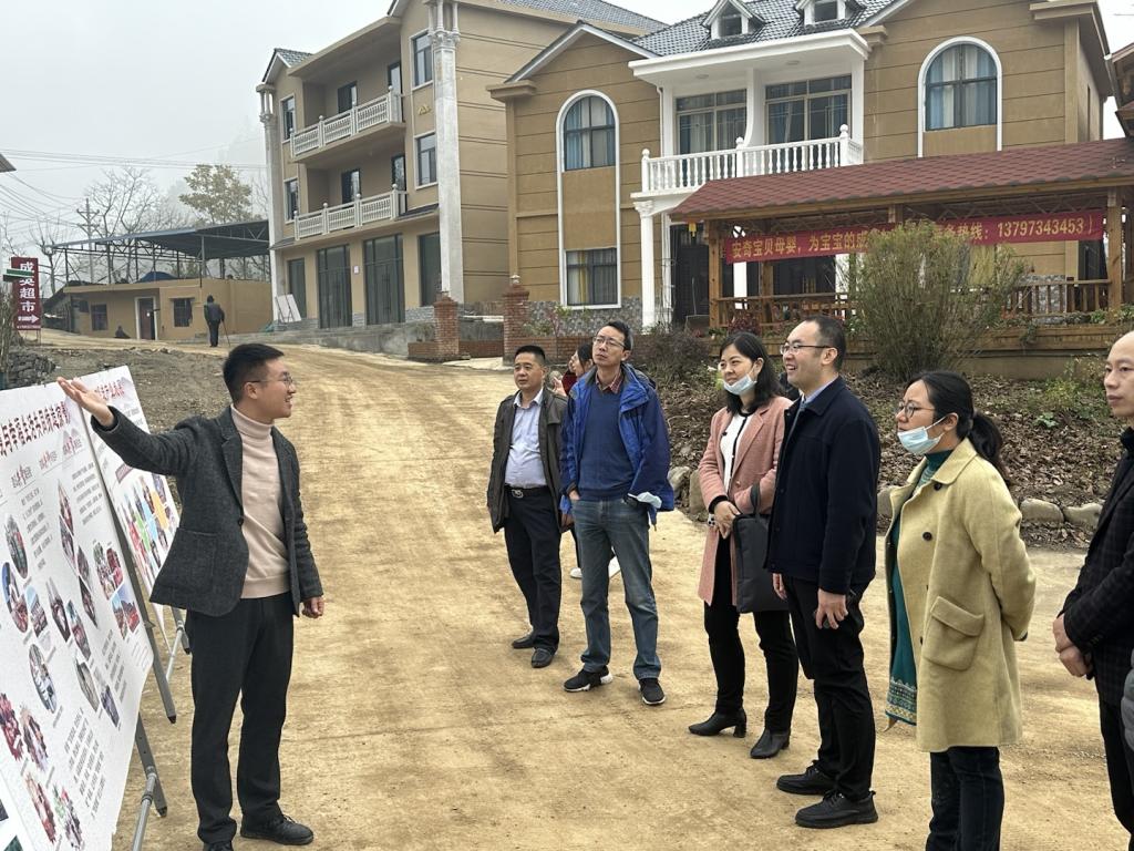国产精品va在线观看不