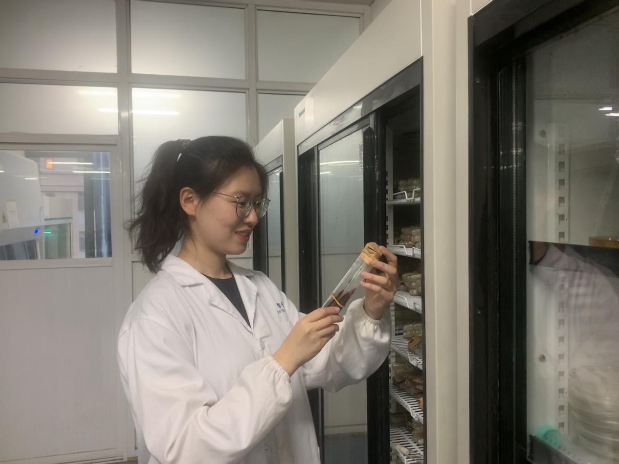 国产精品va在线观看不