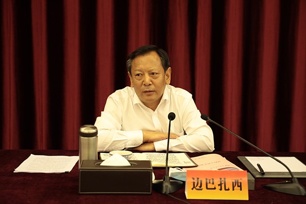国产精品va在线观看不