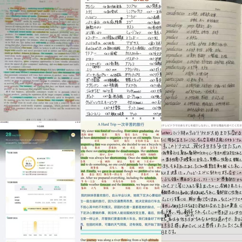 国产精品va在线观看不