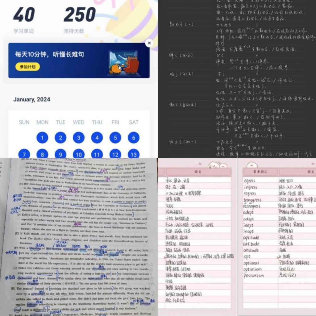 国产精品va在线观看不