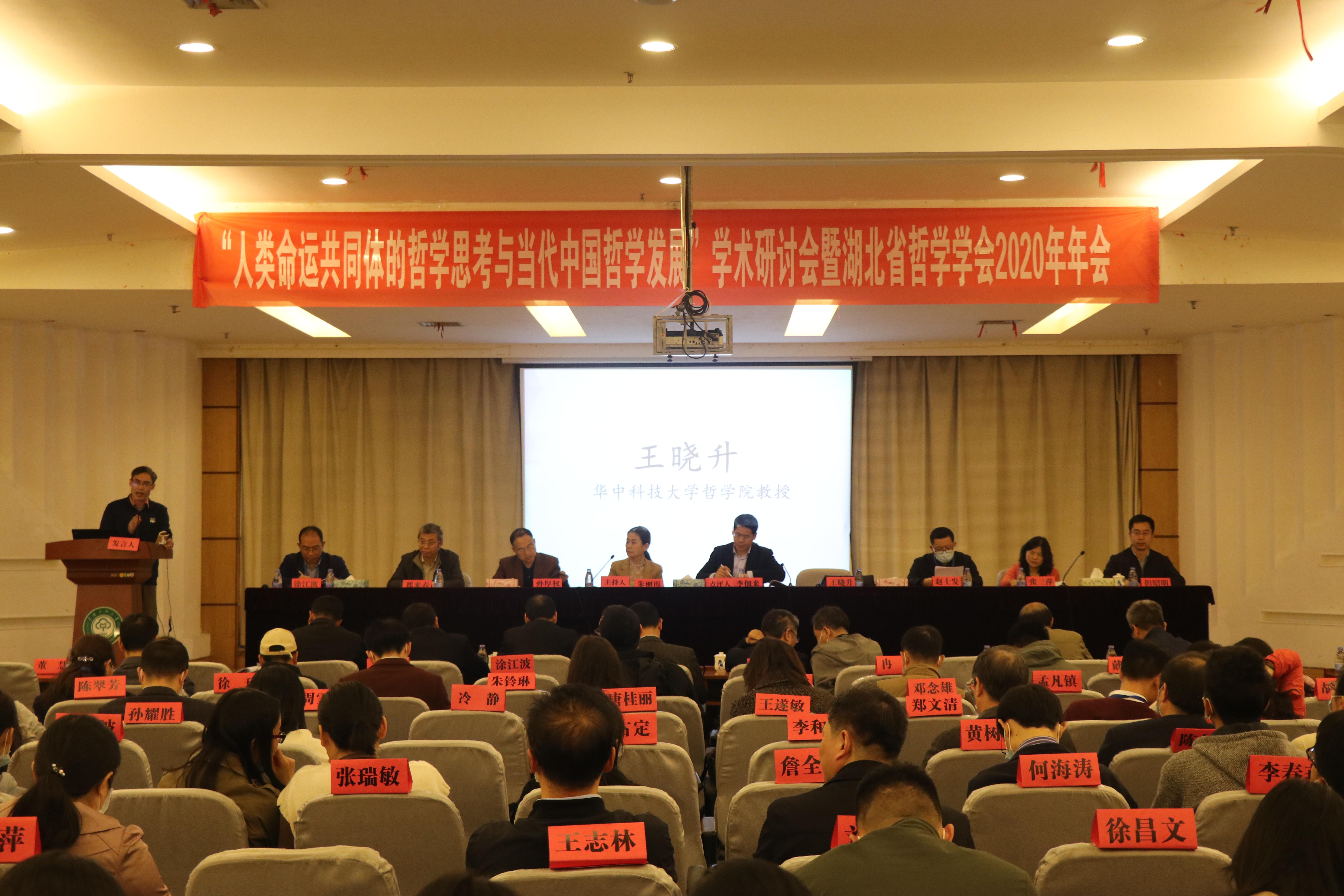 国产精品va在线观看不