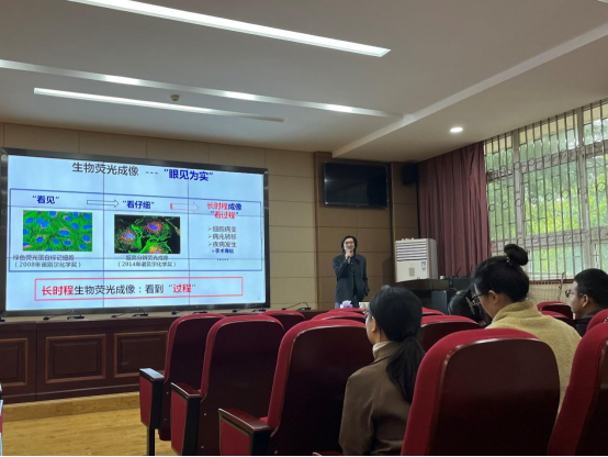国产精品va在线观看不