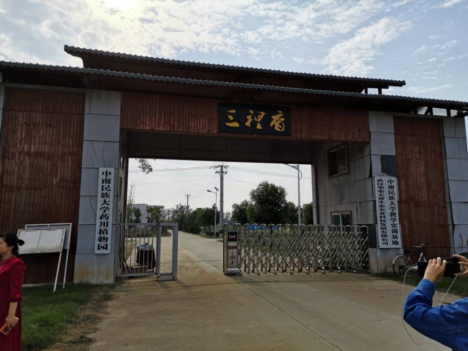 国产精品va在线观看不