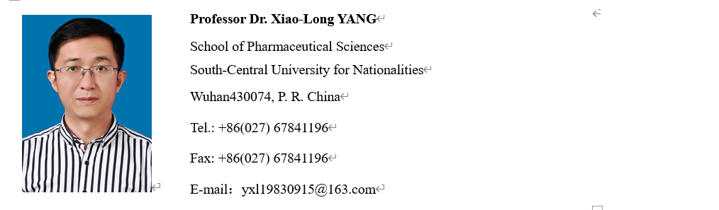 国产精品va在线观看不