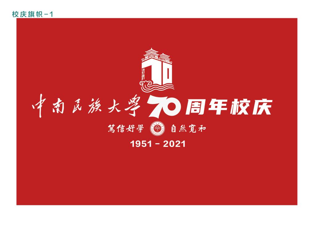 国产精品va在线观看不