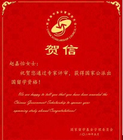 国产精品va在线观看不