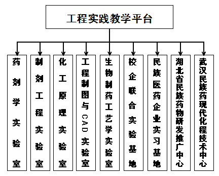 国产精品va在线观看不