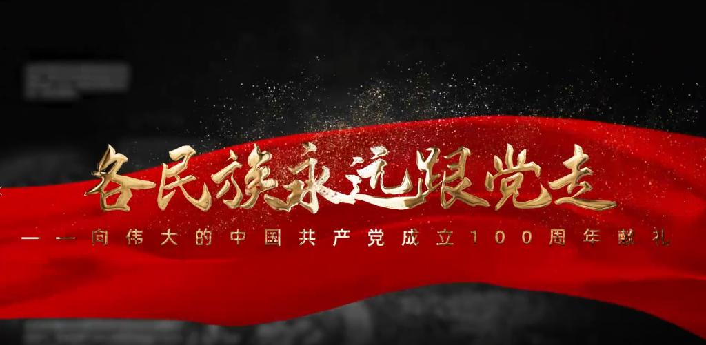 国产精品va在线观看不