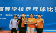 国产精品va在线观看不