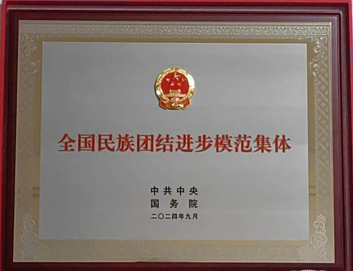 国产精品va在线观看不