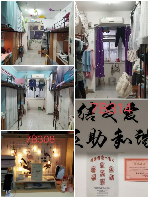 国产精品va在线观看不