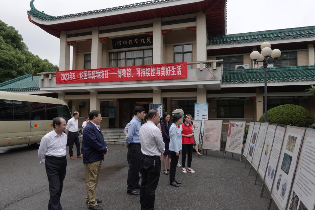 国产精品va在线观看不