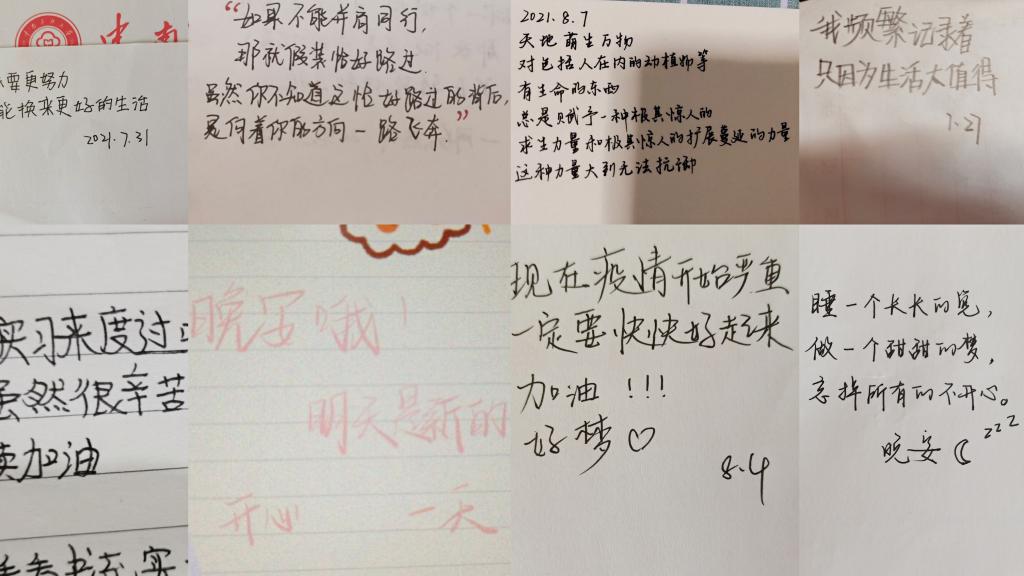 国产精品va在线观看不