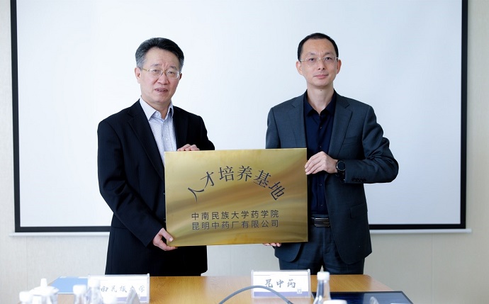 国产精品va在线观看不
