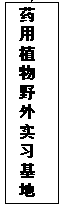 国产精品va在线观看不
