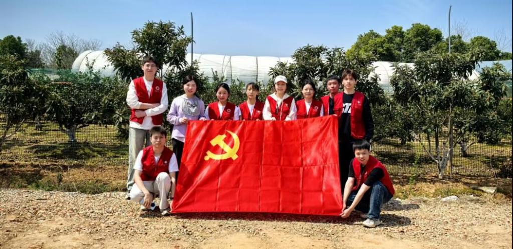 党群动态轮播图