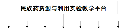国产精品va在线观看不