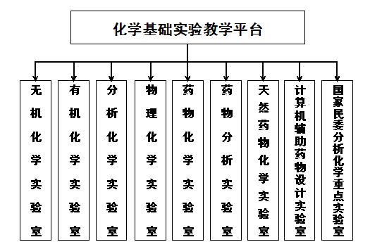 国产精品va在线观看不