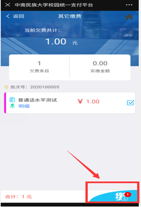 国产精品va在线观看不