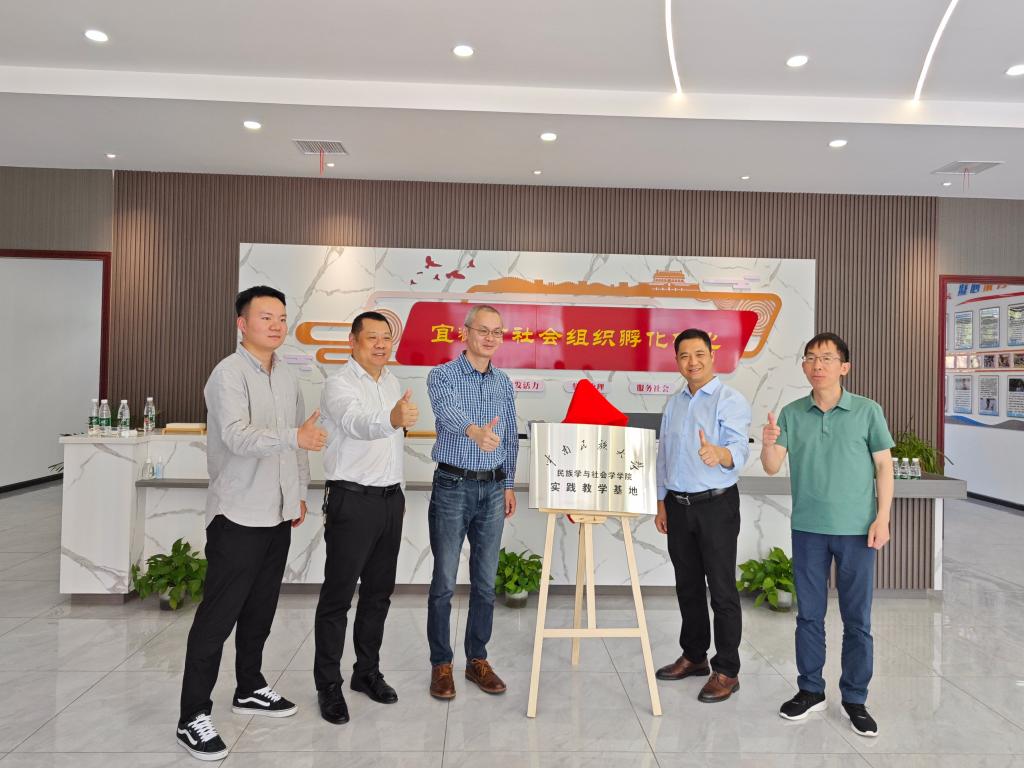 国产精品va在线观看不