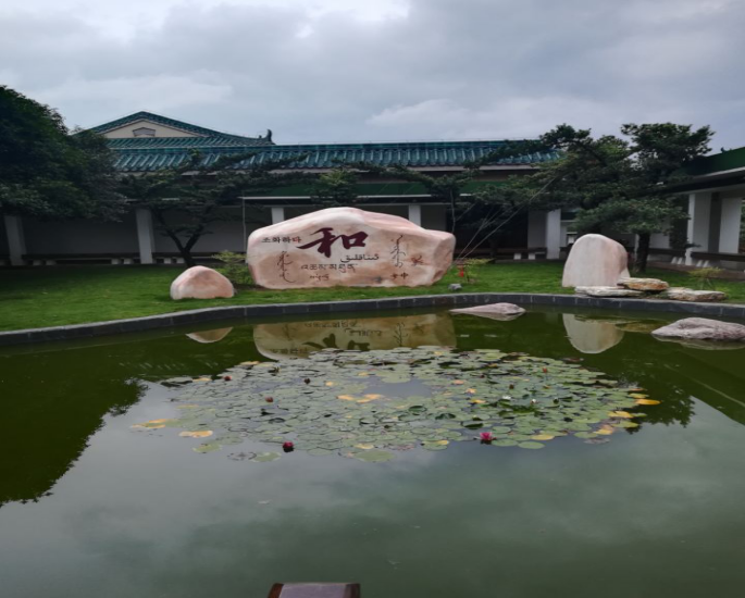 国产精品va在线观看不
