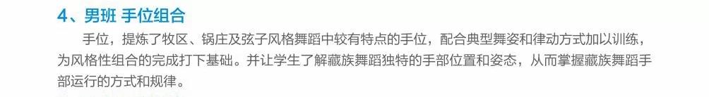 国产精品va在线观看不