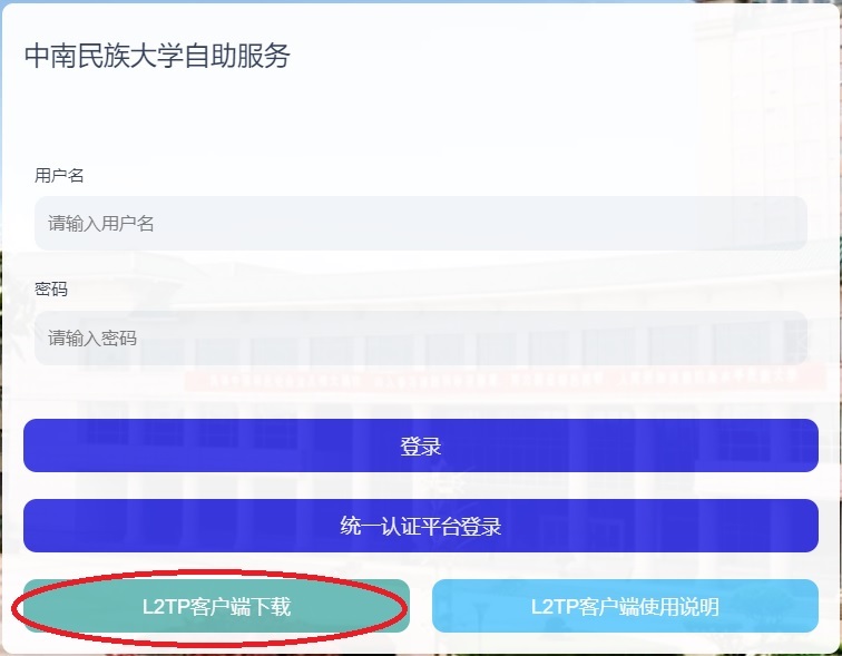 国产精品va在线观看不