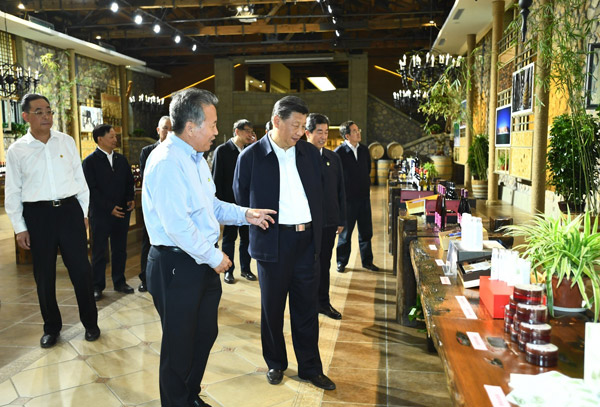 国产精品va在线观看不
