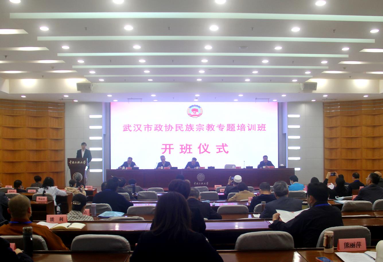 国产精品va在线观看不