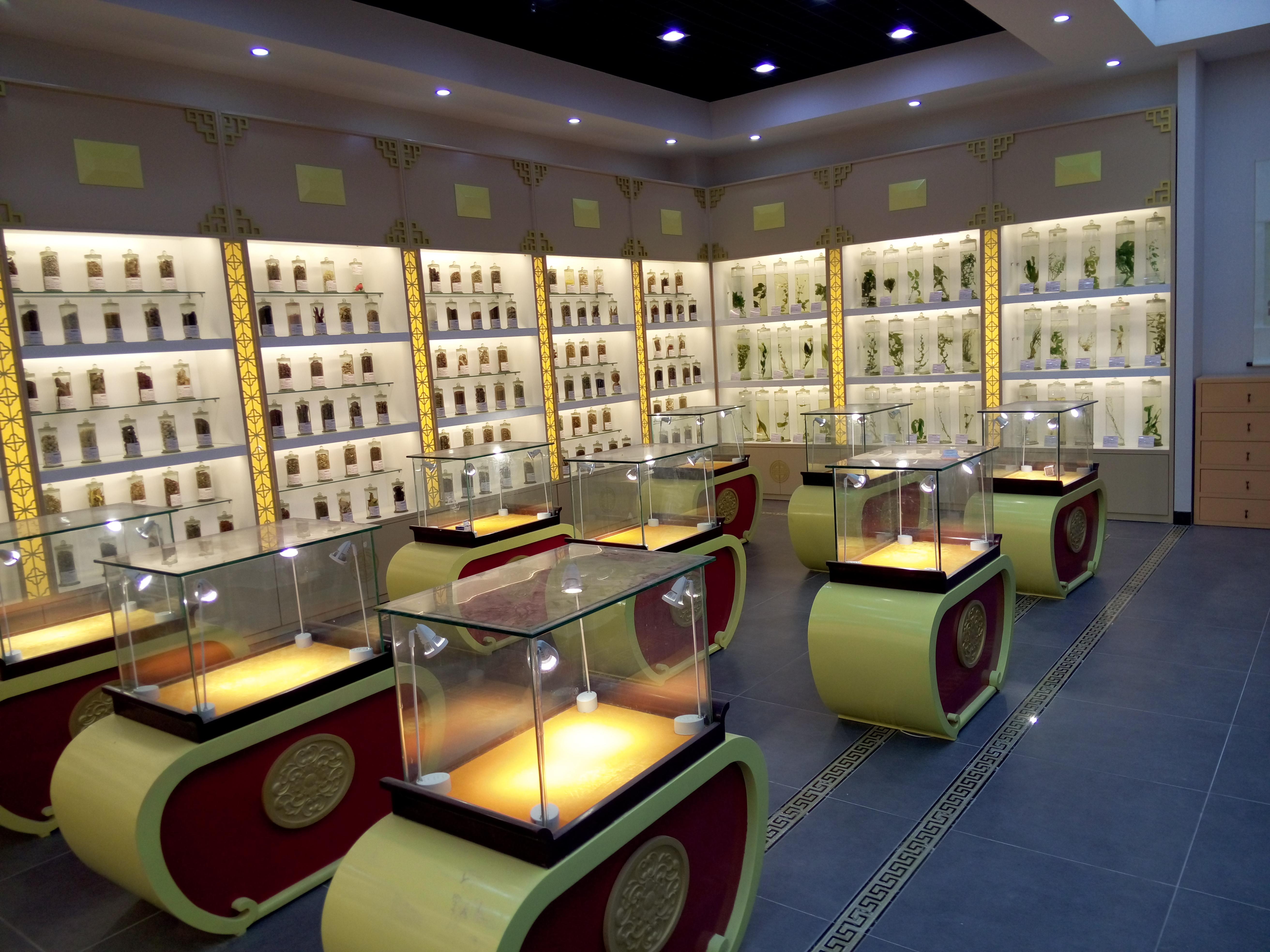 国产精品va在线观看不
