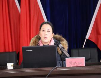 国产精品va在线观看不
