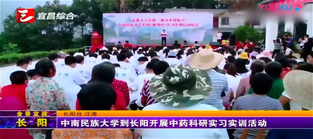 国产精品va在线观看不