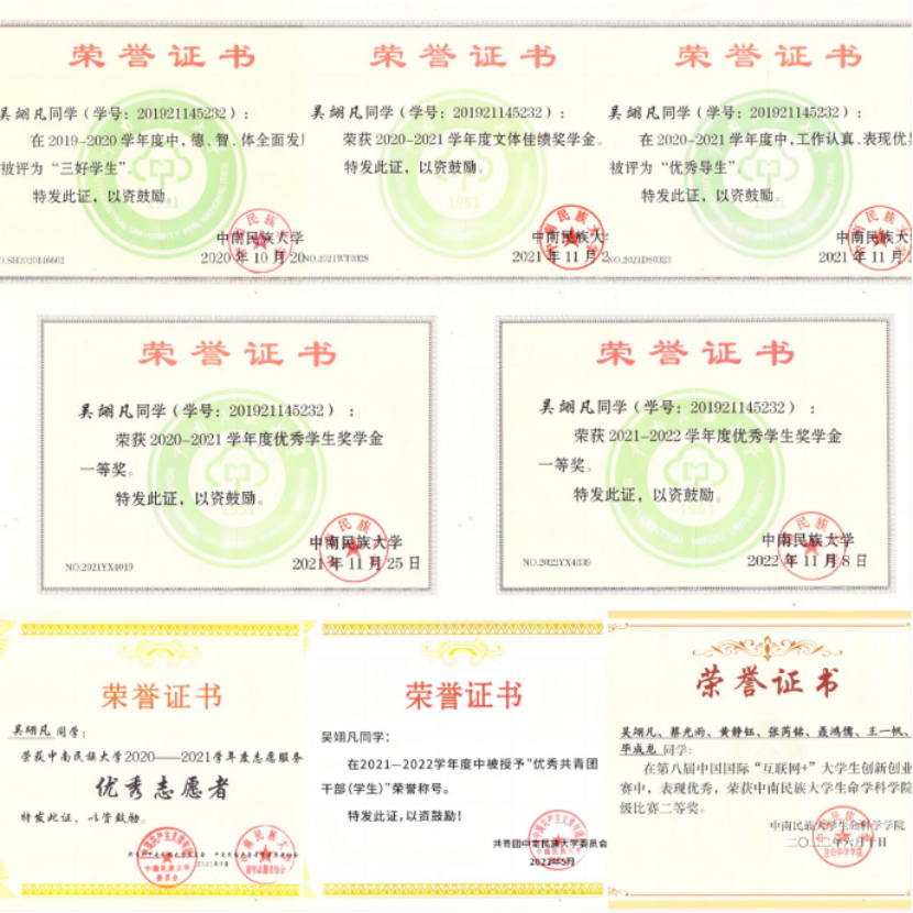 国产精品va在线观看不