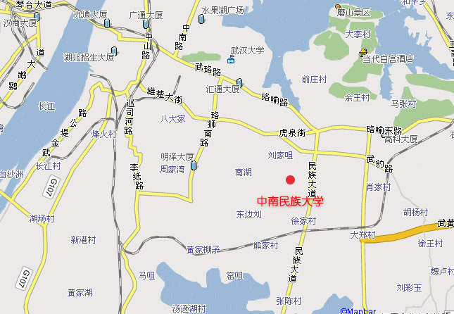 国产精品va在线观看不