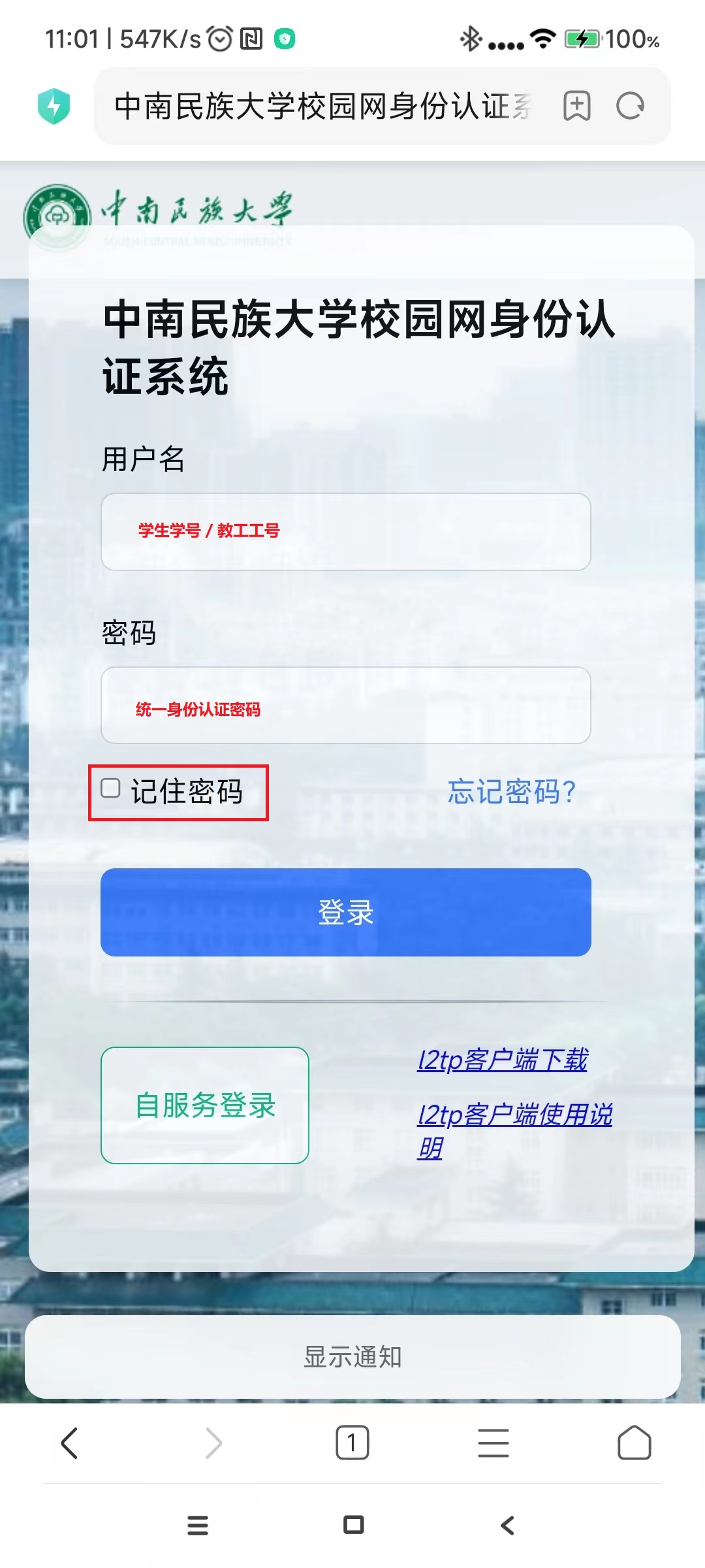 国产精品va在线观看不