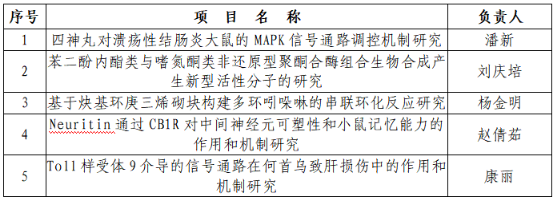 国产精品va在线观看不