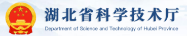 国产精品va在线观看不